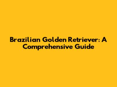 Brazilian Golden Retriever: A Comprehensive Guide